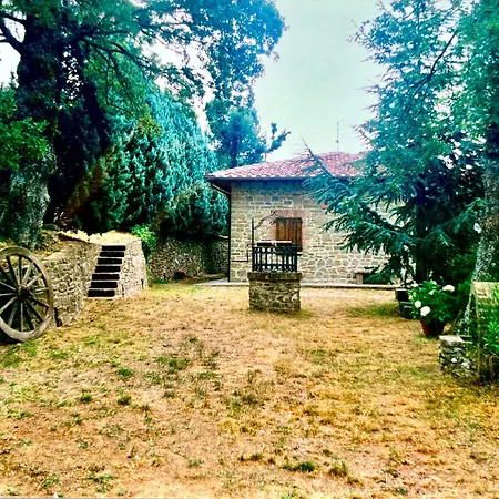 Le Dodici Querce * Cortona