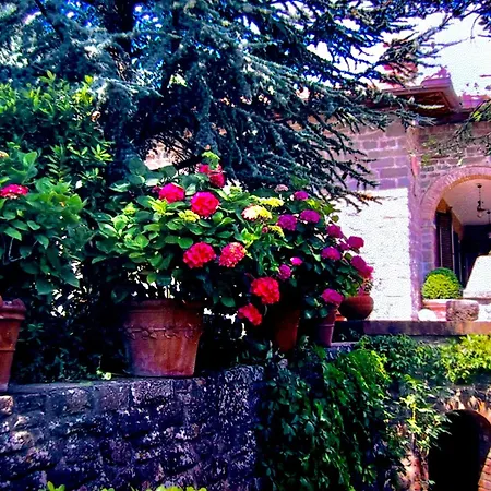 Le Dodici Querce * Cortona